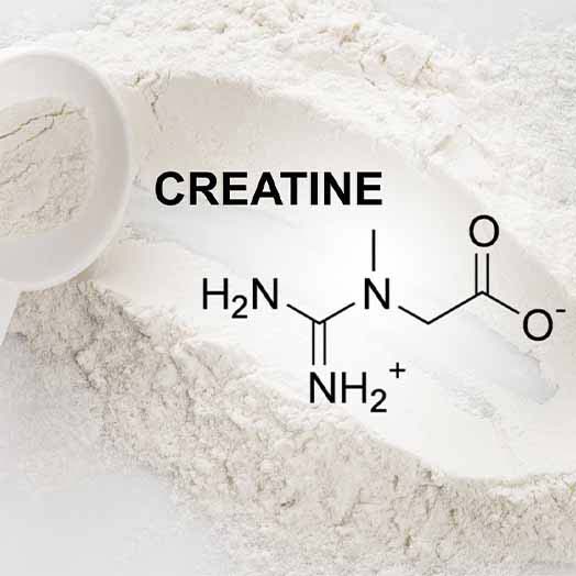چرا کراتین محبوب ترین مکمل در بین ورزشکاران است؟